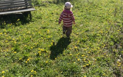 Frühlingserwachen in der Krippe