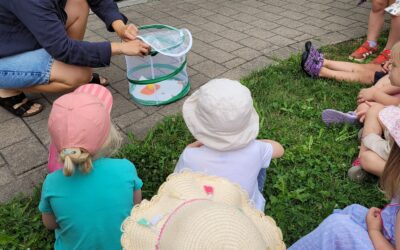 Projekt Schmetterling