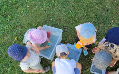Sommer voller Abenteuer – AG